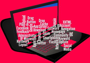 乐鱼体育官网-CBA开展球员社交媒体管理课程提高职业素养，运动员社交媒体